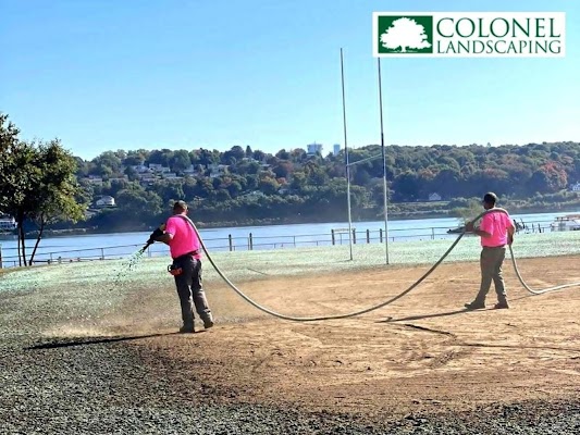 Common Questions About Hydroseeding: What You Should Know Before Starting Your Project